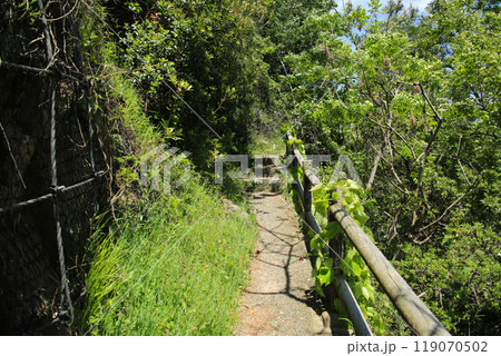 鳥取県岩美町　千貫松島への道 119070502