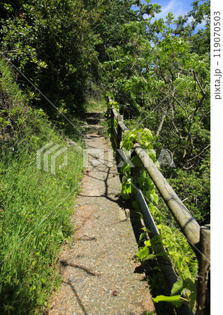 鳥取県岩美町　千貫松島への道 119070503