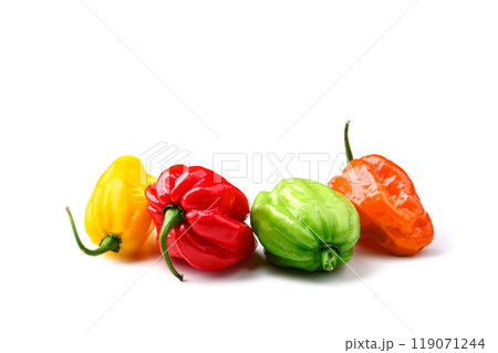 Ripened multi-colored habanero peppers isolated Ripened multi-colored habanero peppers isolated 119071244