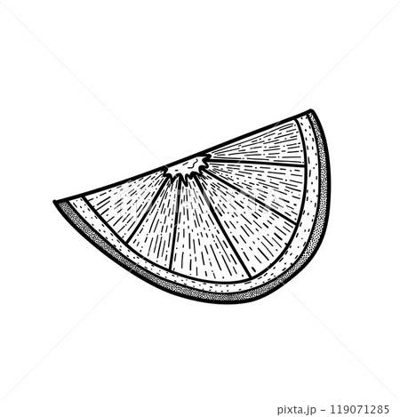 Detailed black ink drawing of a citrus orange wedge, ideal for food-related content, healthy eating, recipe blogs, or kitchen wall art 119071285