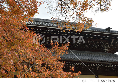 南禅寺　法堂　秋季 119071470