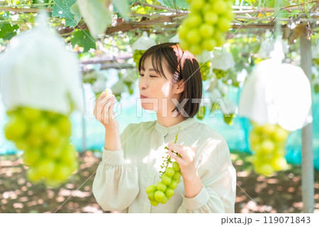 ぶどう狩りをする女性 果物狩りをする女性 ぶどう狩りをする女性 果物狩りをする女性 119071843