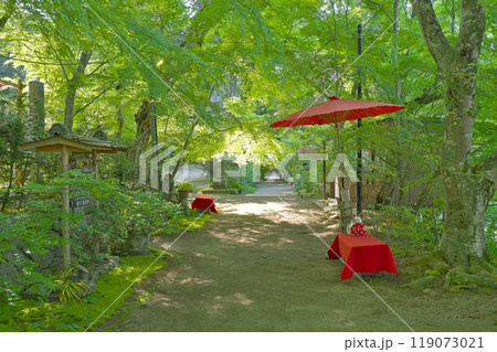 【長寿寺】 滋賀県湖南市東寺 119073021