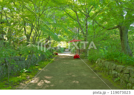 【長寿寺】 滋賀県湖南市東寺 119073023