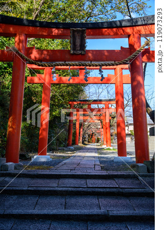 赤い鳥居が続くお稲荷様 竹中稲荷社 赤い鳥居が続くお稲荷様 竹中稲荷社 119073293