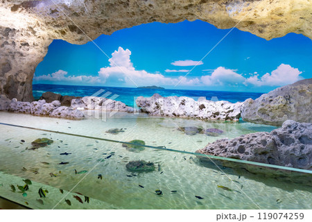 空模様と波打ち際の海岸を再現した空間 DMMかりゆし水族館 沖縄県豊見城市 空模様と波打ち際の海岸を再現した空間 DMMかりゆし水族館 沖縄県豊見城市 119074259