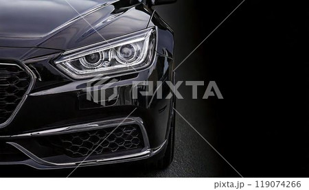 車のヘッドライト CAR ライト LED バルブ 119074266