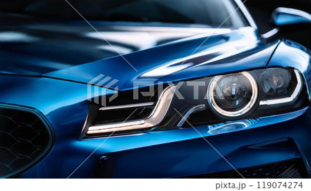 車のヘッドライト CAR ライト LED バルブ 119074274