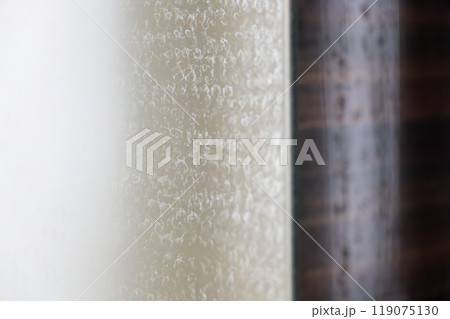 鏡のうろこ 鏡のうろこ 119075130