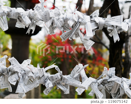 おみくじ掛け 119075142