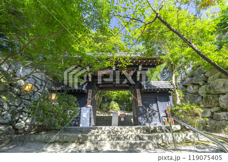 村雲御所瑞龍寺門跡　山門 119075405
