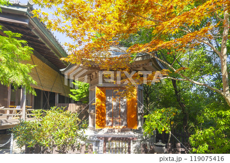 八幡山　村雲御所瑞龍寺門跡　瑞興殿 119075416