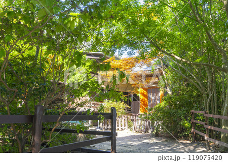 八幡山　瑞龍寺門跡　 119075420