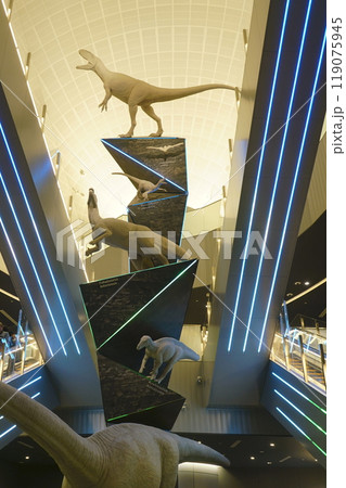 福井県恐竜博物館 リニューアル 福井県恐竜博物館 リニューアル 119075945