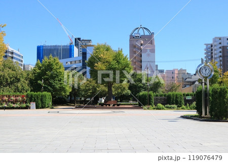 もりおか歴史文化館前広場 119076479