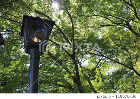 盛岡城跡公園のガス燈 119076530