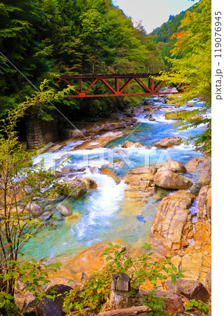 森林鉄道跡と阿寺川(縦) 森林鉄道跡と阿寺川(縦) 119076945