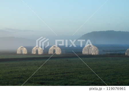 朝霧で霞むビニールハウス 119076961