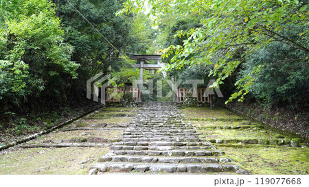 平泉寺白山神社 平泉寺白山神社 119077668