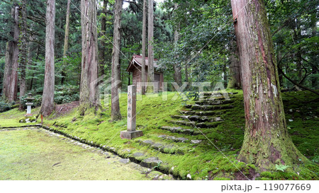 平泉寺白山神社 119077669