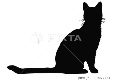 cats silhouette, on white background, isolated cats silhouette, on white background, isolated 119077723