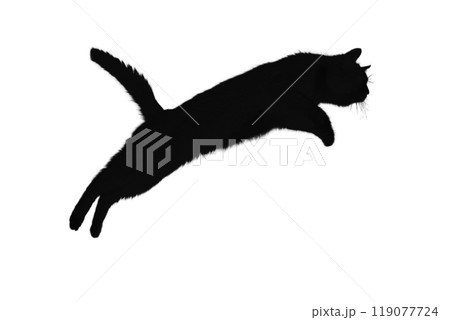 cats silhouette, on white background, isolated cats silhouette, on white background, isolated 119077724
