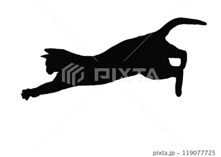 cats silhouette, on white background, isolated cats silhouette, on white background, isolated 119077725