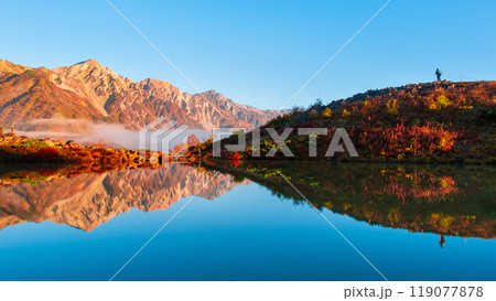 秋の唐松岳登山（夜明けの八方池と白馬三山） 119077878