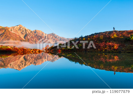 秋の唐松岳登山（夜明けの八方池と白馬三山） 119077879