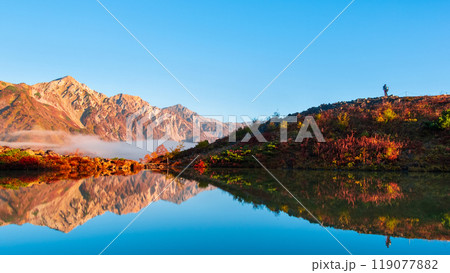 秋の唐松岳登山（夜明けの八方池と白馬三山） 119077882