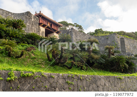 日本　沖縄　海古宇利大橋　美ら海水族館　残波岬　万座毛　街並み　都市景観　アメリカ村　那覇 119077972
