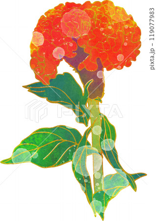 秋の花のイラスト ケイトウ 秋の花のイラスト ケイトウ 119077983