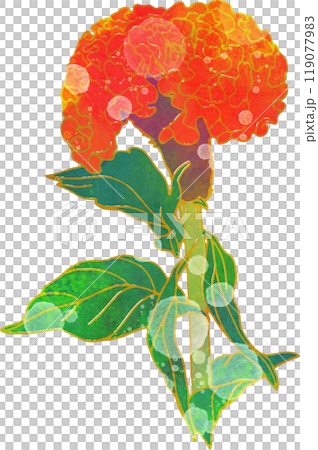 秋の花のイラスト ケイトウ 秋の花のイラスト ケイトウ 119077983