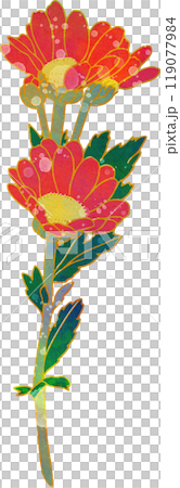 Autumn flower illustration: Small chrysanthemum Autumn flower illustration: Small chrysanthemum 119077984
