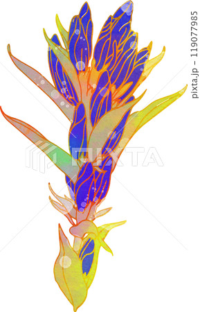 秋の花のイラスト　竜胆 119077985