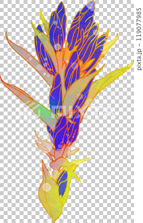 秋の花のイラスト　竜胆 119077985