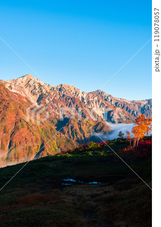 秋の唐松岳登山(夜明けの白馬三山) 秋の唐松岳登山(夜明けの白馬三山) 119078057