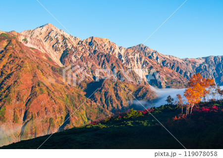 秋の唐松岳登山(夜明けの白馬三山) 秋の唐松岳登山(夜明けの白馬三山) 119078058