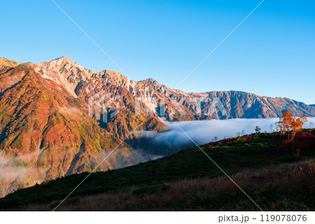秋の唐松岳登山(夜明けの白馬三山) 秋の唐松岳登山(夜明けの白馬三山) 119078076