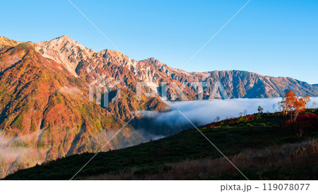 秋の唐松岳登山(夜明けの白馬三山) 秋の唐松岳登山(夜明けの白馬三山) 119078077