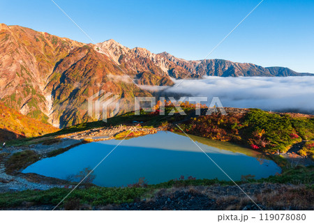 秋の唐松岳登山（夜明けの八方池と白馬三山） 119078080