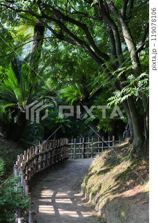 木々に囲まれた庭園の小道 119078106