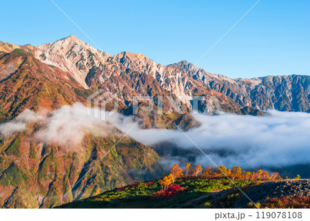 秋の唐松岳登山(夜明けの白馬三山) 秋の唐松岳登山(夜明けの白馬三山) 119078108