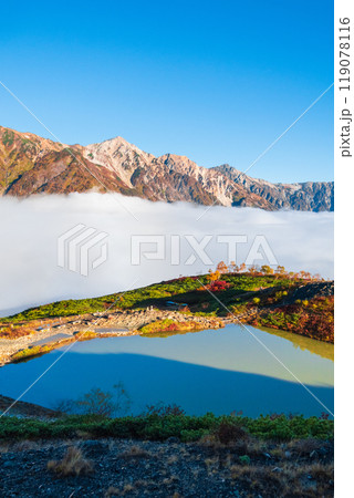 秋の唐松岳登山（夜明けの八方池と白馬三山） 119078116