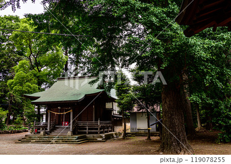 森林に囲まれた深谷神社全景 119078255