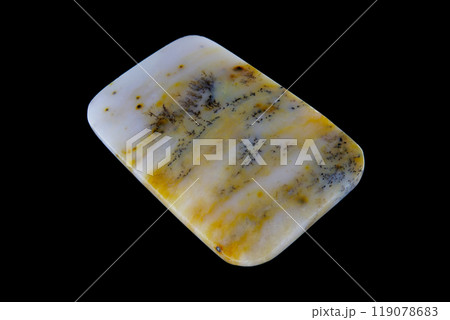 デンドリティック・アゲート 風景を宿す石 119078683