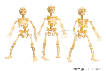 Plastic Halloween Skeleton  for Halloween decoration isolated on background 119078715