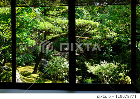 京町家の庭の風景 京町家の庭の風景 119078771