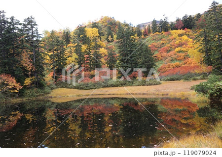 北海道の紅葉 119079024