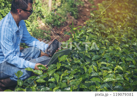 Smart farmer hands using laptop eco green farm sustainable quality control. Close up Hand typing laptop computer quality control plant tree. Farmer use technology checking eco Farmland biotechnology Smart farmer hands using laptop eco green farm sustainable quality control. Close up Hand typing laptop computer quality control plant tree. Farmer use technology checking eco Farmland biotechnology 119079381